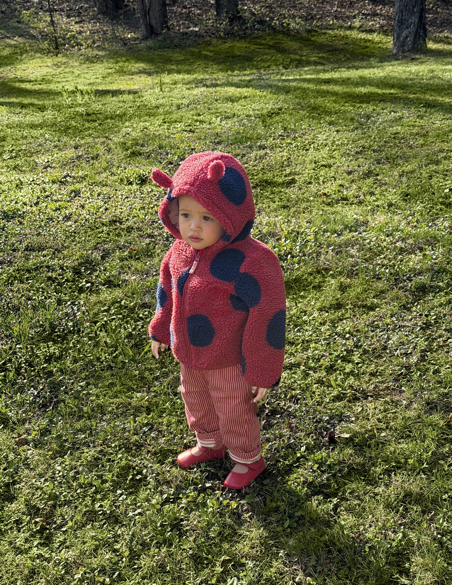 Novelty Cosy Borg Jacket-Ladybird