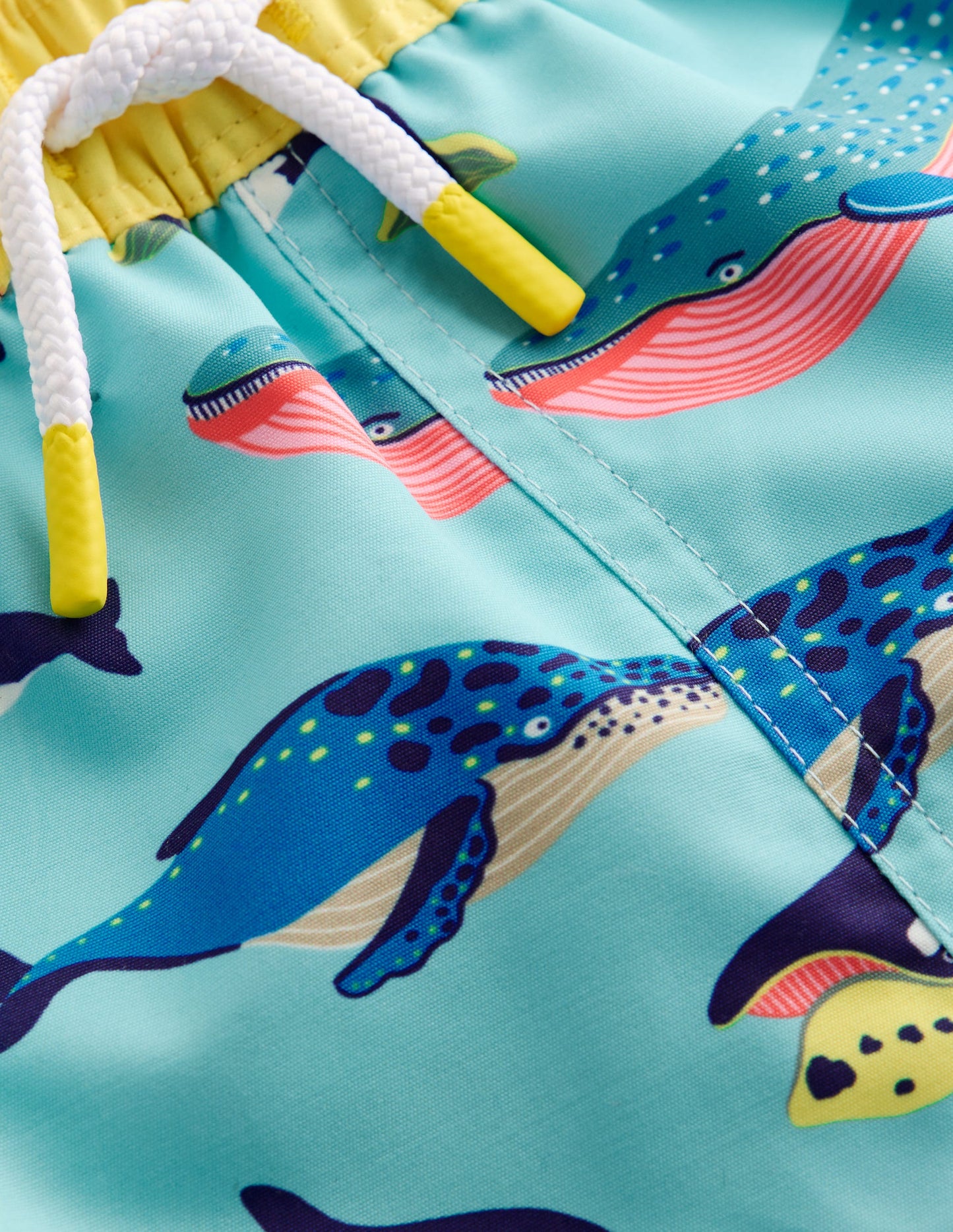 Swim Shorts-Swimming Whales
